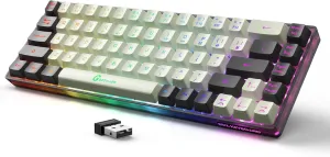 65% Wireless Gaming Keyboard: LED Backlit, 68 Keys, Ultra-Compact, Anti-ghosting, No-Conflict Wireless Keyboard for PC Laptop Windows Gamer(White-Black)