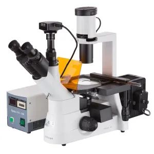 AmScope IN300 Series Inverted Epi-fluorescence Trinocular Compound Microscope with Optional Global Shutter Camera