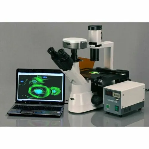 AmScope IN300 Series Inverted Phase-Contrast Biological EPI-Fluorescent Trinocular Compound Microscope 40X-1000X Magnification with 30W Halogen