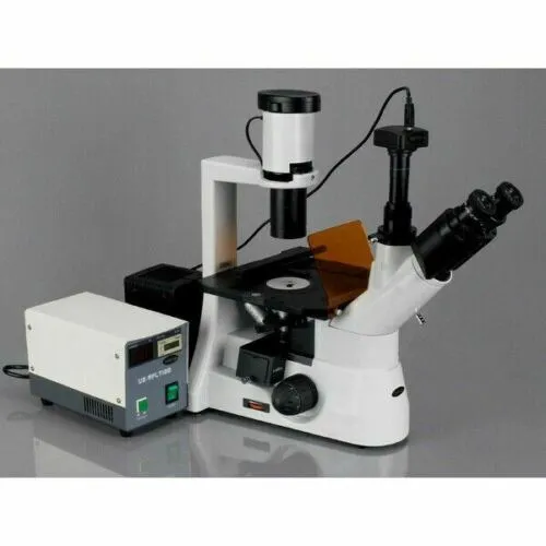 AmScope IN300 Series Inverted Phase-Contrast Biological EPI-Fluorescent Trinocular Compound Microscope 40X-1000X Magnification with 30W Halogen
