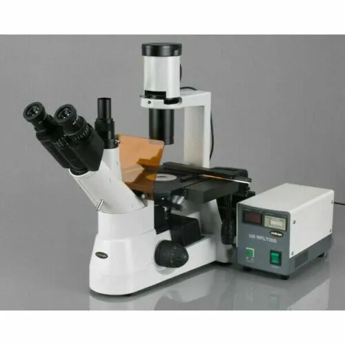 AmScope IN300 Series Inverted Phase-Contrast Biological EPI-Fluorescent Trinocular Compound Microscope 40X-1000X Magnification with 30W Halogen