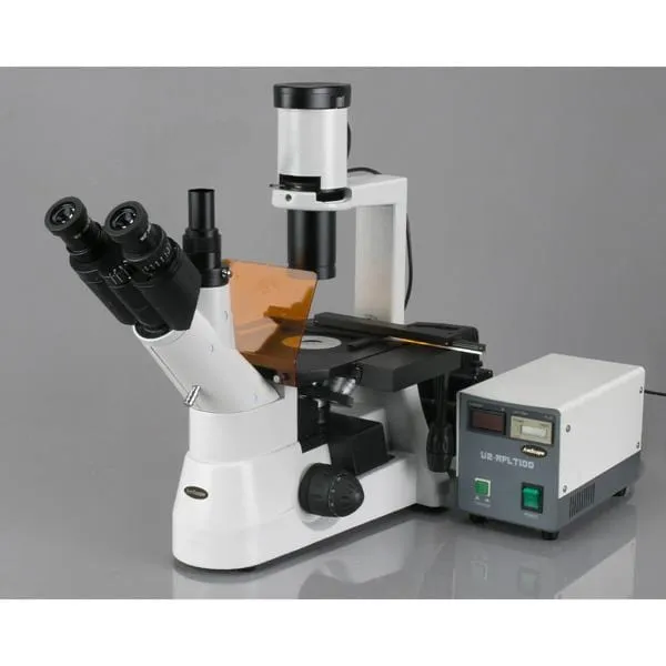 AmScope IN300 Series Inverted Phase-Contrast Biological EPI-Fluorescent Trinocular Compound Microscope with 30W Halogen Optional Color CCD Digital Camera