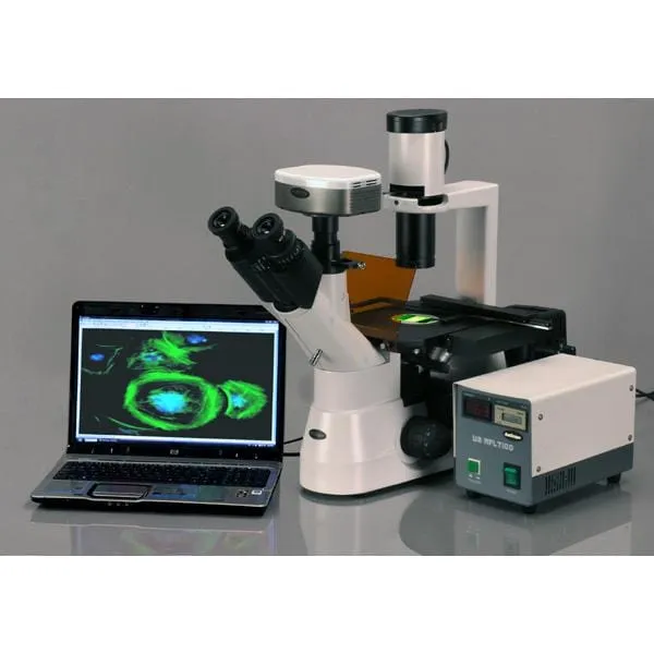 AmScope IN300 Series Inverted Phase-Contrast Biological EPI-Fluorescent Trinocular Compound Microscope with 30W Halogen Optional Color CCD Digital Camera