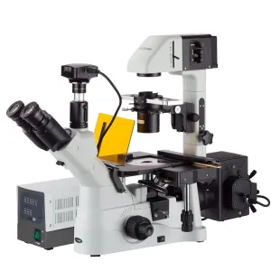 AmScope IN480 Series Inverted Infinity-Corrected Fluorescence Trinocular Compound Microscope with Global Shutter Digital Camera