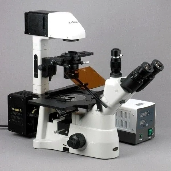 AmScope IN480 Series Inverted Infinity-Corrected Fluorescence Trinocular Compound Microscope with Global Shutter Digital Camera