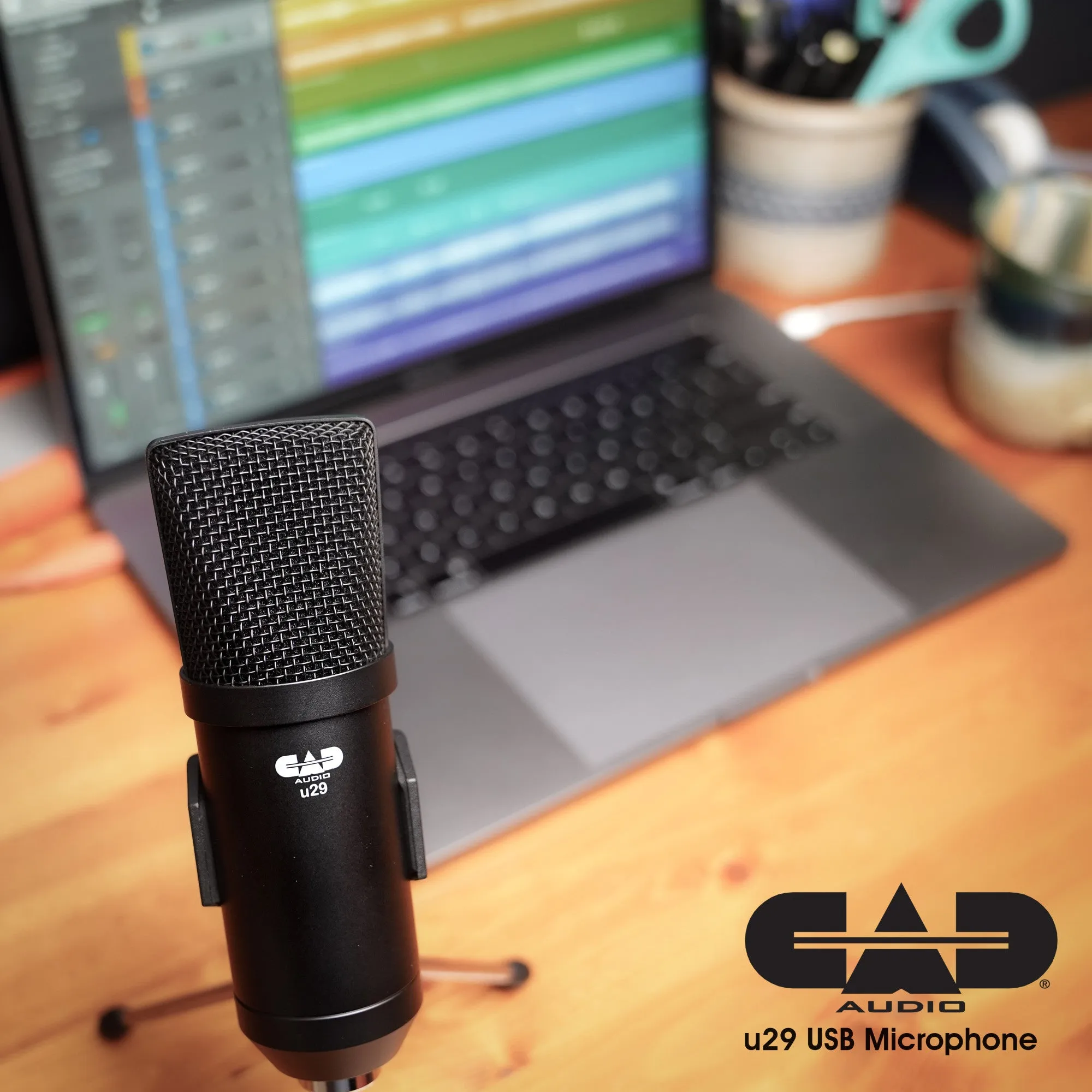 CAD Audio U29 USB Large Format Side Address Studio Microphone