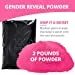 Colorful Powder For Holi Festival, Gender Reveal Powder Burnout Baby Announcement