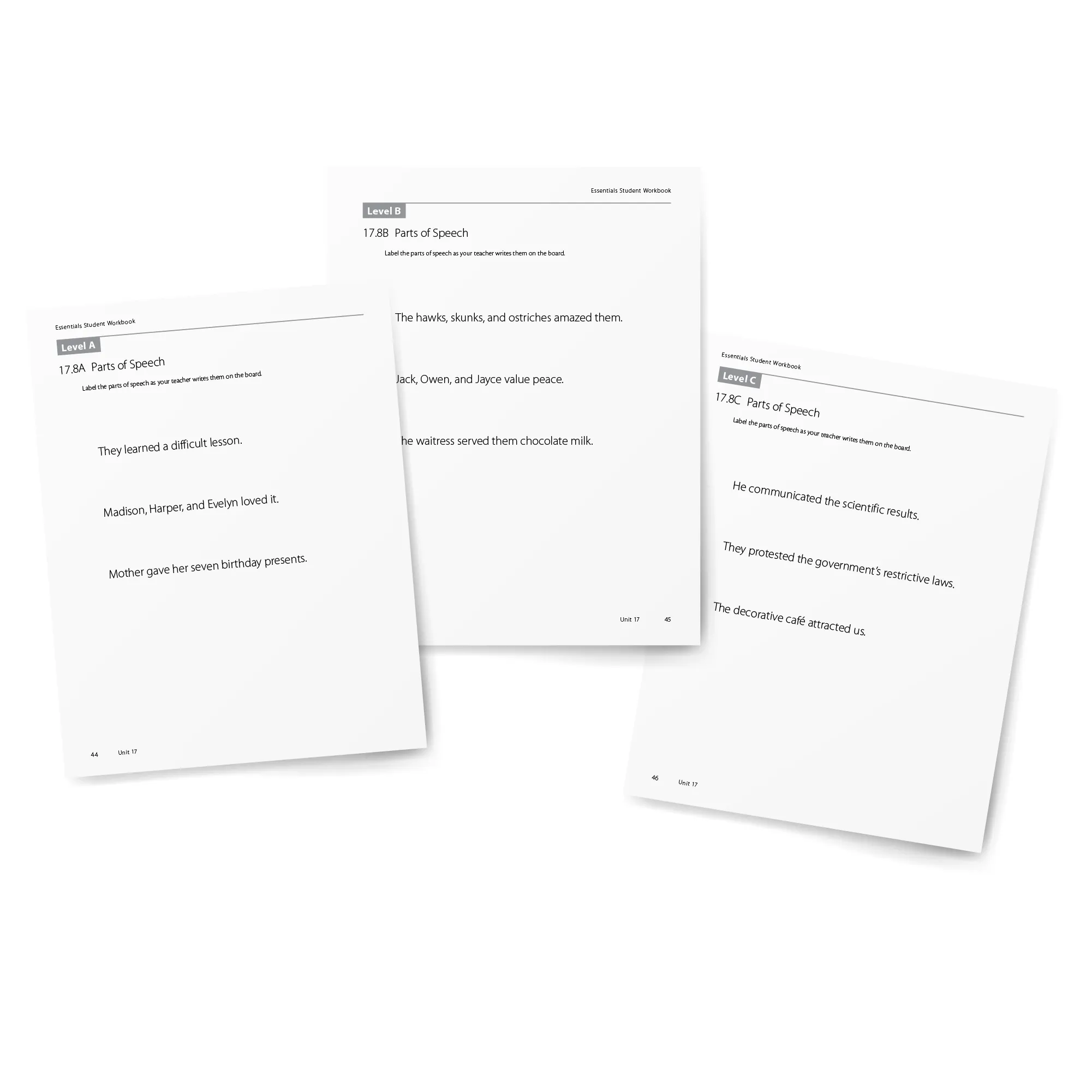 Essentials 16-22 Student Workbook