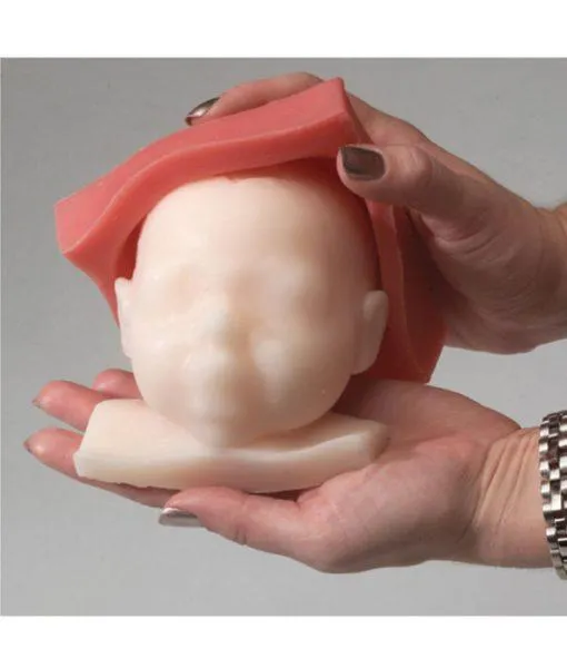 Fetal Monitoring and Labor Progress Model Set