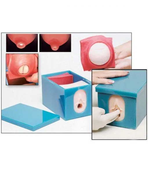 Fetal Monitoring and Labor Progress Model Set