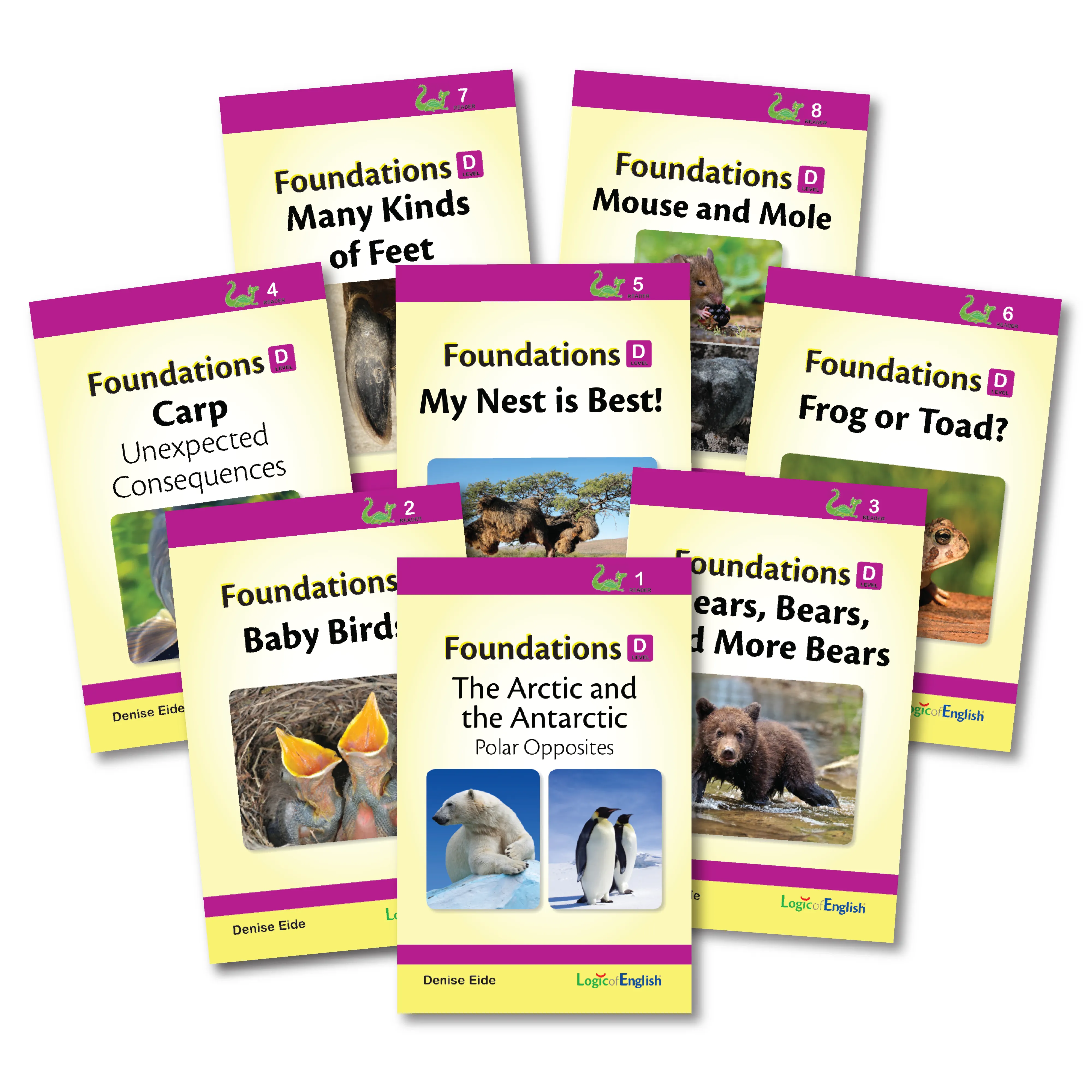 Foundations D Set