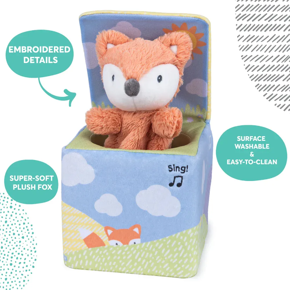 fox in a box