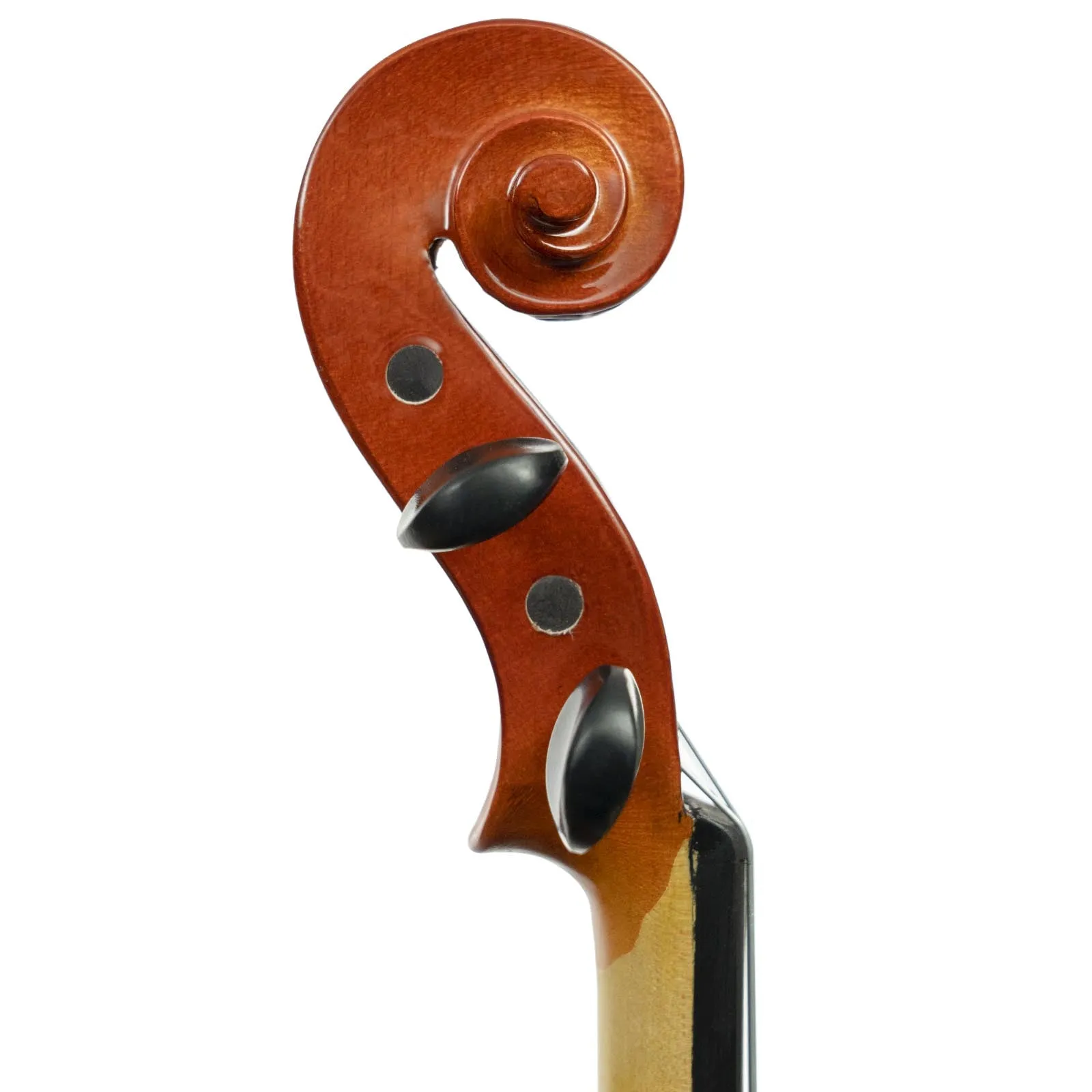 Franz Hoffmann™ Amadeus Violin Starter Kit