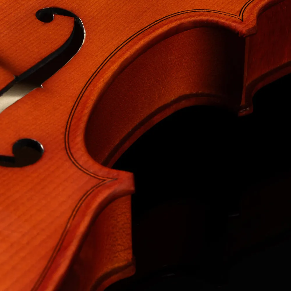 Franz Hoffmann™ Amadeus Violin Starter Kit