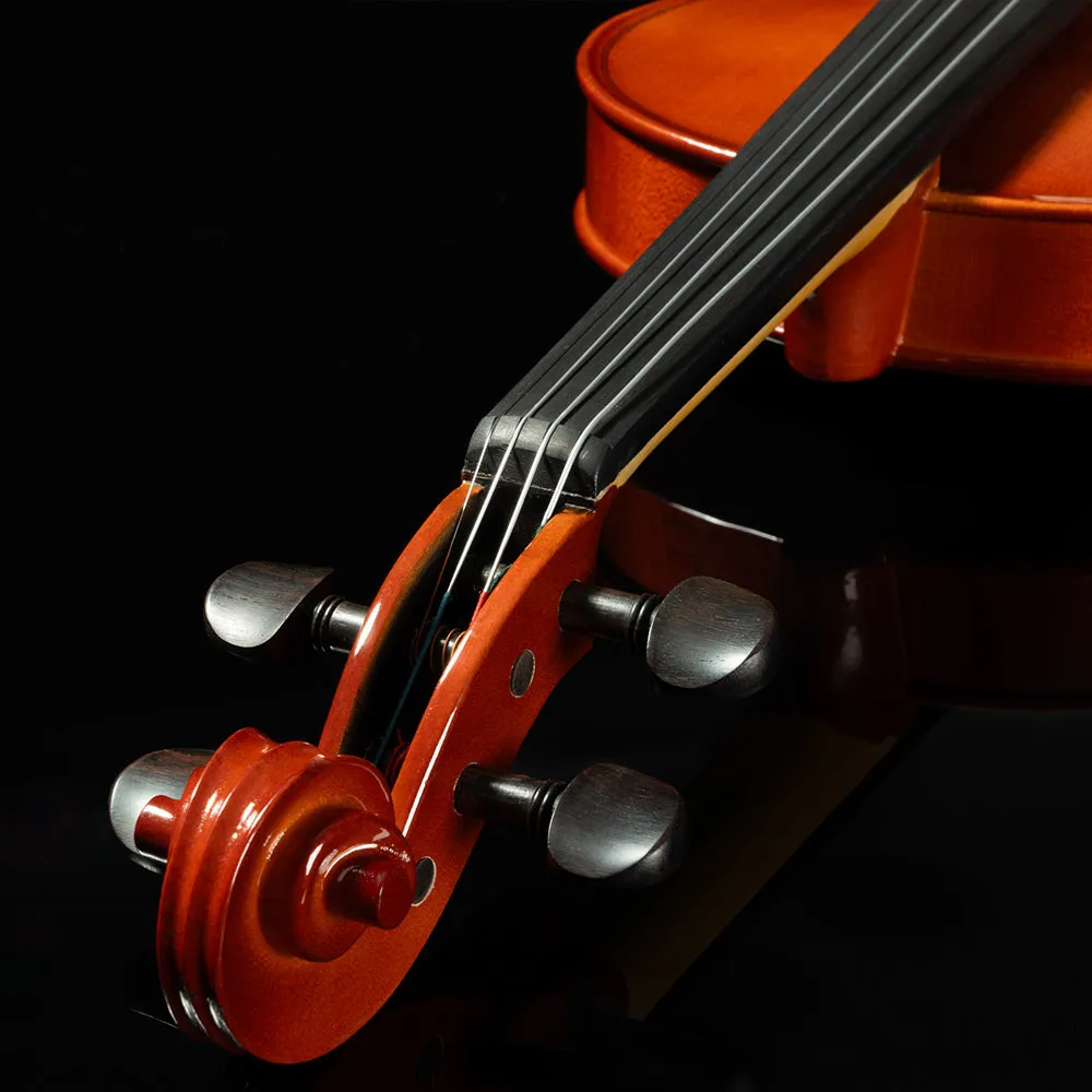 Franz Hoffmann™ Amadeus Violin Starter Kit