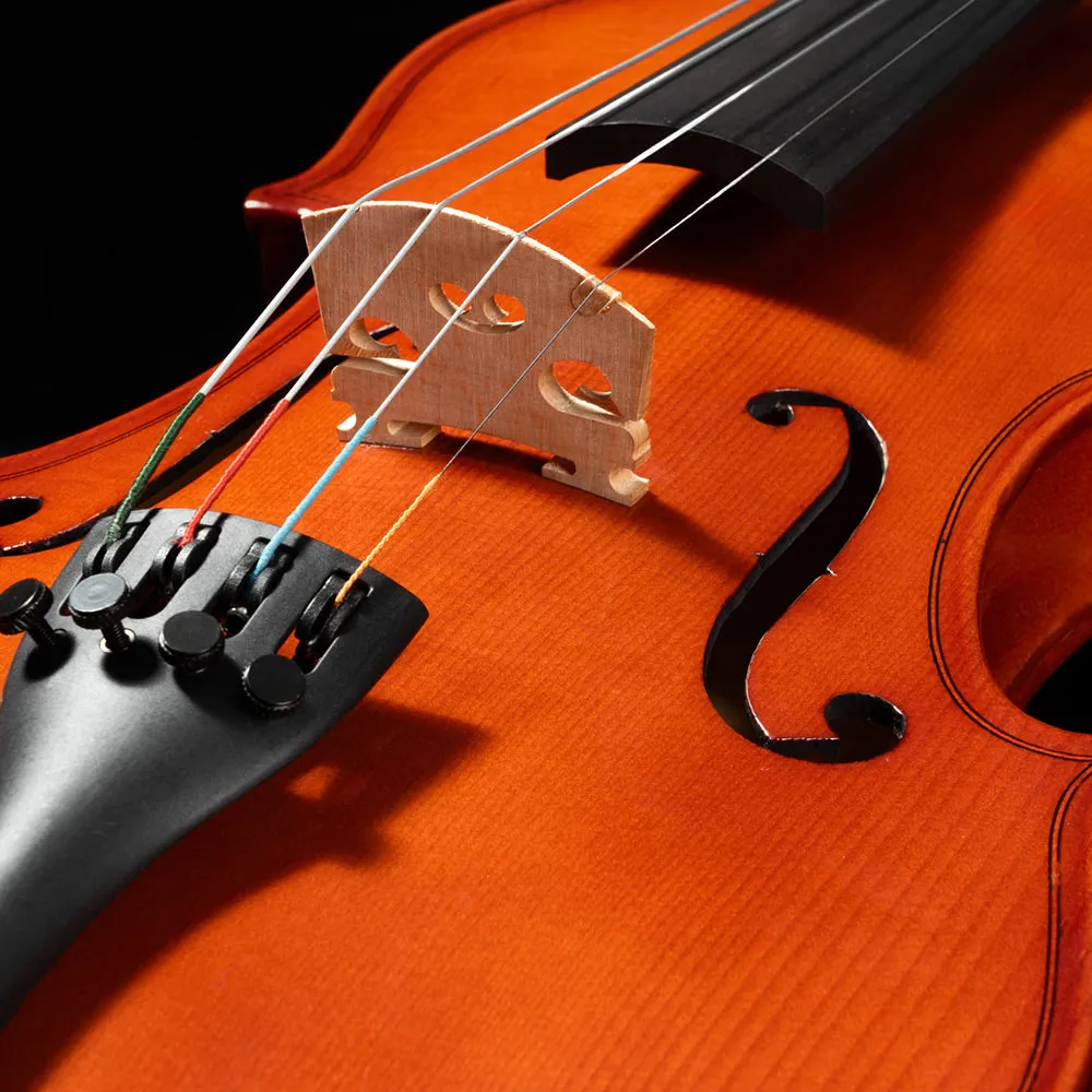 Franz Hoffmann™ Amadeus Violin Starter Kit