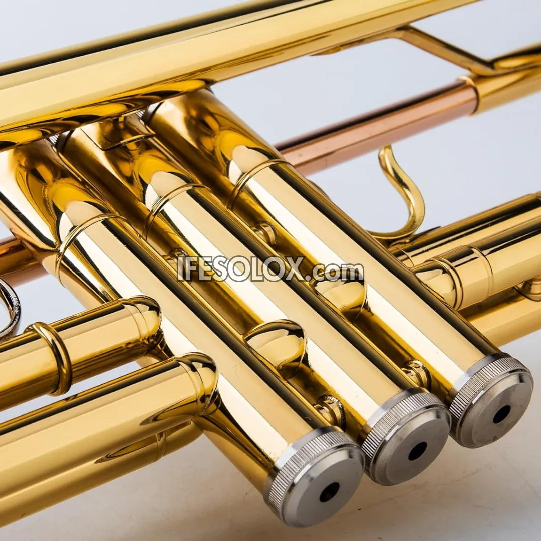 Gold B-Flat Trumpet Set for Beginners, Professionals and Concerts - Brand New