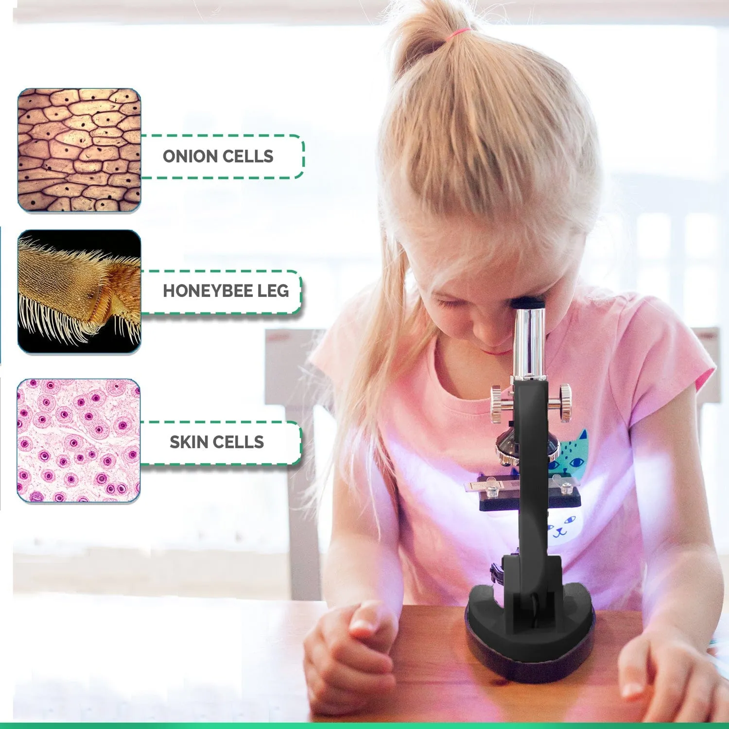 IQCrew By AMSCOPE M30 Series KIDS Starter Kids Student Compound Microscope Kit 120X-240X-300X-480X-600X-1200X Magnification With Metal Arm