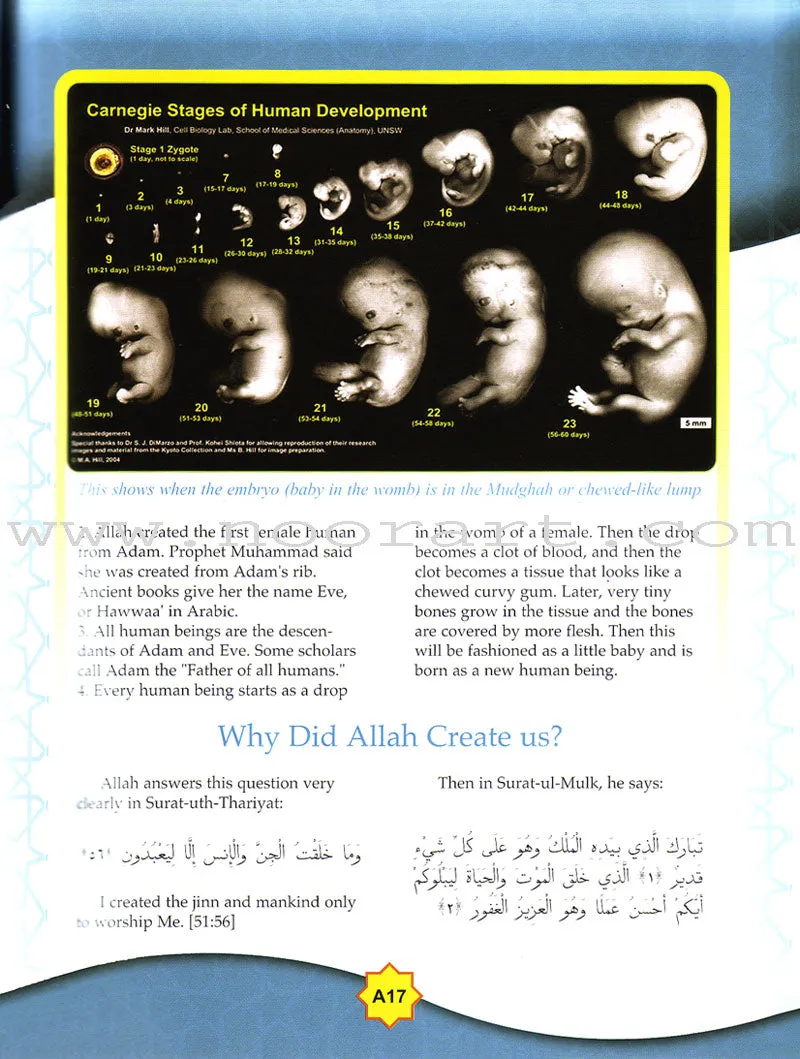 Learning Islam Series (Set of 9 Books with Teacher Guides)