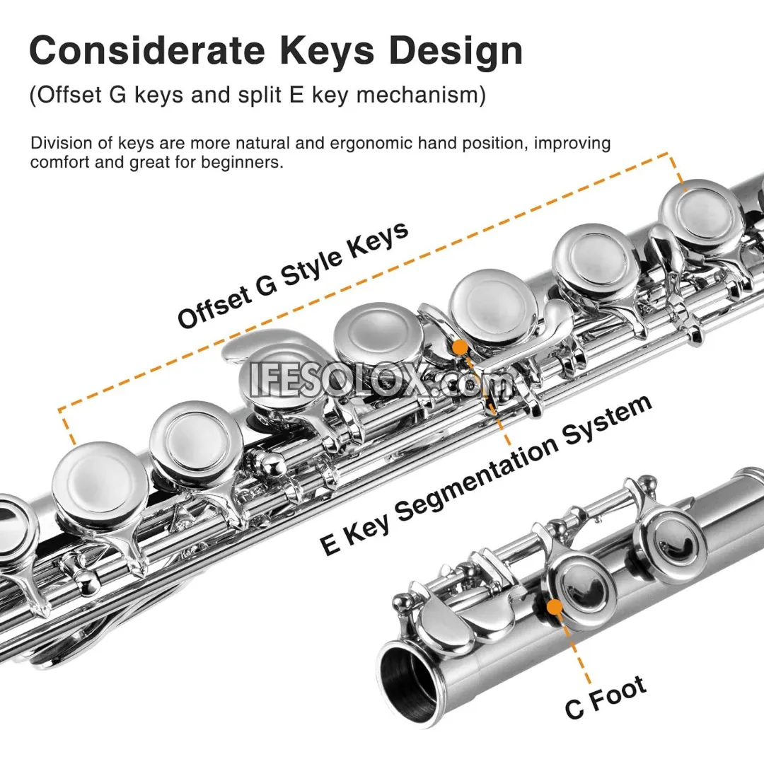 Silver C Flute Complete Set for Beginners, Professionals and Concerts - Brand New