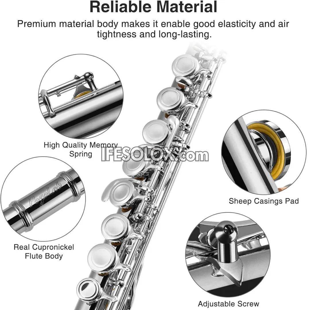 Silver C Flute Complete Set for Beginners, Professionals and Concerts - Brand New