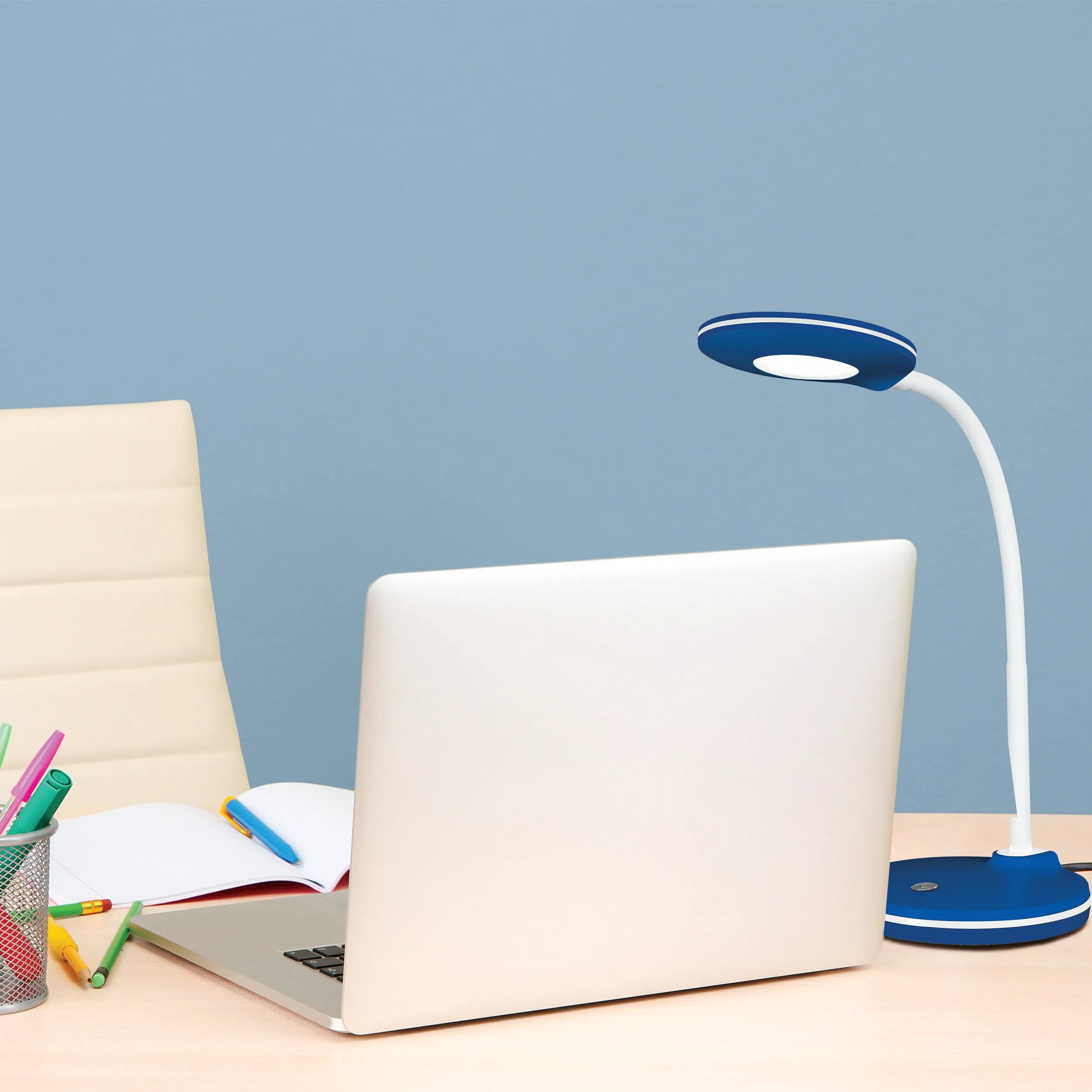 Study LED Desk Lamp